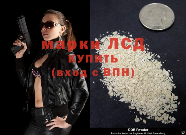 сатива Сясьстрой