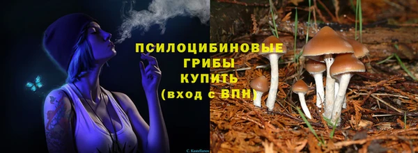 стафф Абдулино