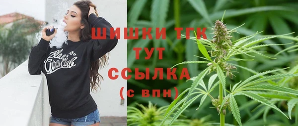 МДПВ Абаза