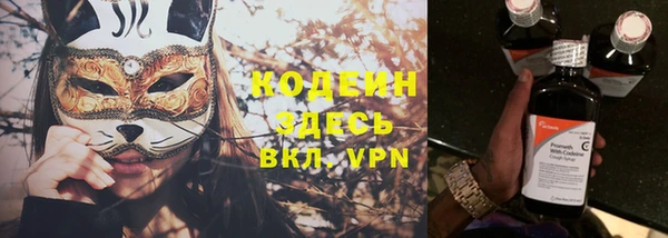 сатива Сясьстрой