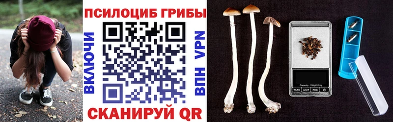 что такое Иваново Псилоцибиновые грибы прущие грибы
